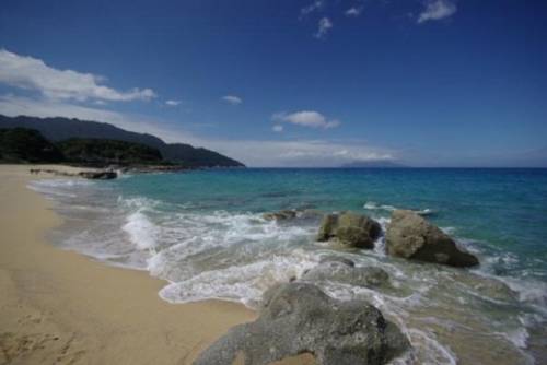 Giappone. Kagoshima e il tè verde