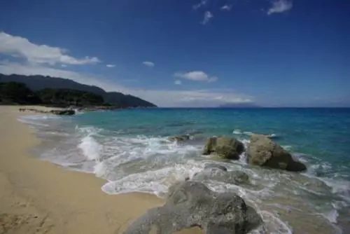 Giappone. Kagoshima e il tè verde