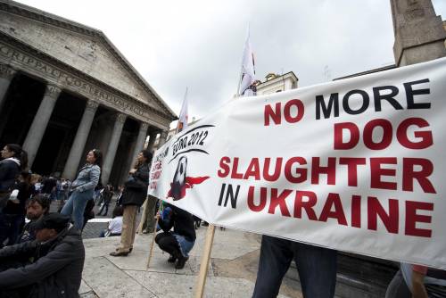 I big dello spettacolo in piazza contro la strage dei cani randagi in Ucraina