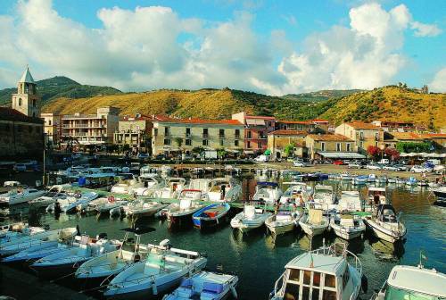 Il Cilento è un manto di orchidee tra boschi e borghi a picco sul Tirreno