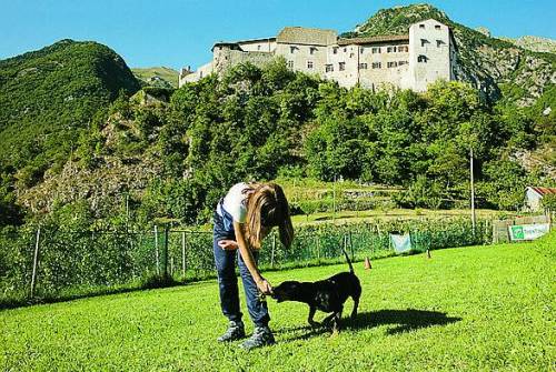 In vacanza con Fido ai piedi delle Dolomiti