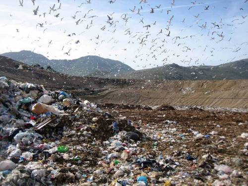 Nel Lazio il risiko dei rifiuti: il sito sarà Pian dell'Olmo Bloccata la via Tiberina