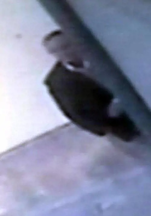 «Così ho ucciso la ragazza Ce lavevo con il mondo intero»