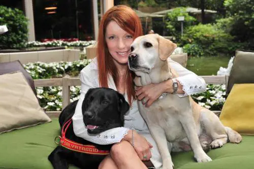 Alberghi a 5 stelle per cani e gatti