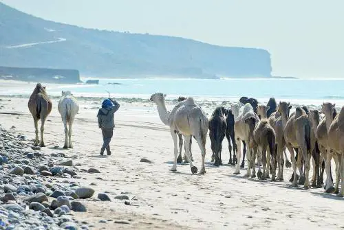 Sport e relax sulle spiagge di Agadir Luci e colori nelle piazze di Marrakech