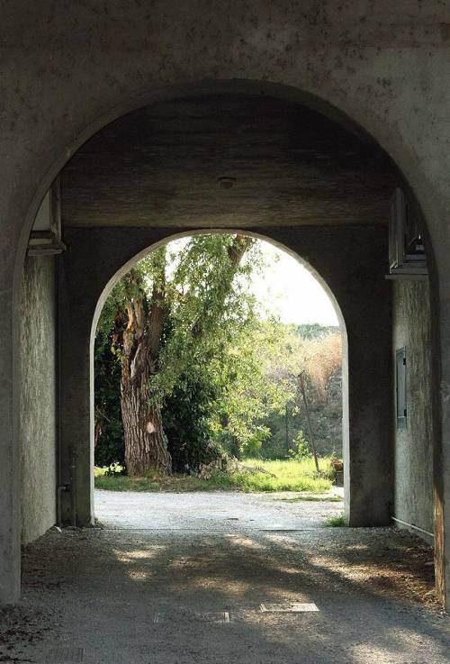 Tutti al sabato del villaggio  per vedere l’autunno delle streghe