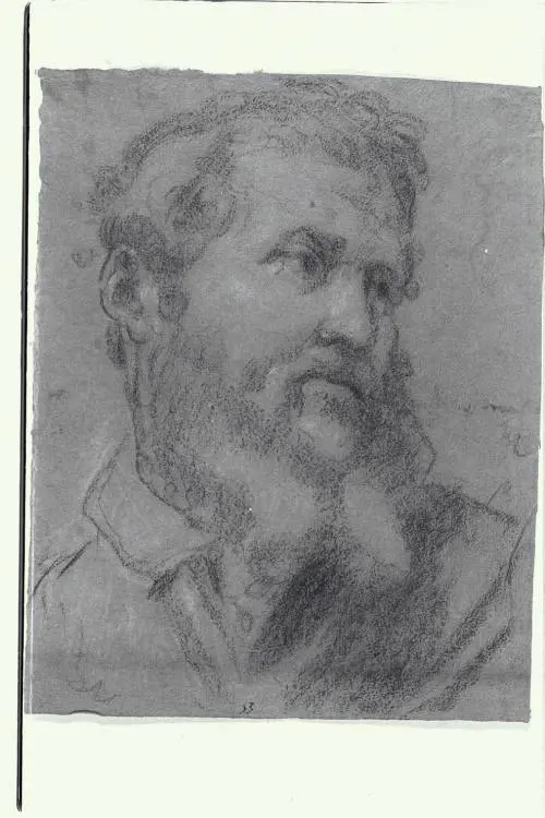 I presunti disegni di Michelangelo
