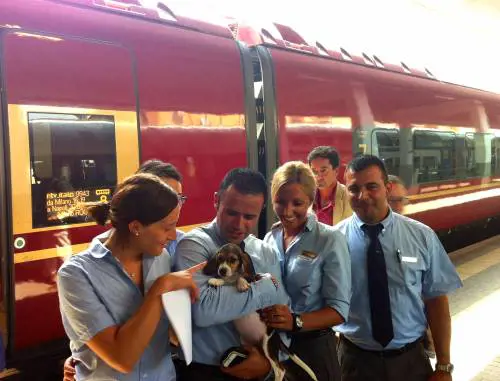 Green Hill, affidati i primi beagle. Brambilla sprona il Senato: "Ora approvare la legge"