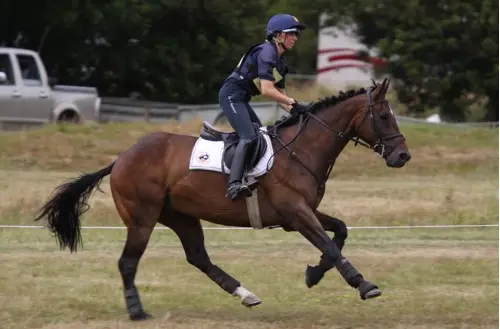 Equitazione italiana alle Olimpiadi 