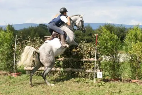 Coppa Europa di trec in Germania