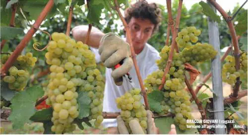 È corsa alla terra: vale quanto l'oro
