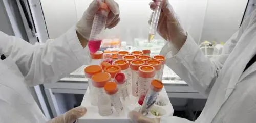 I giudici del Tar  bocciano le staminali della speranza