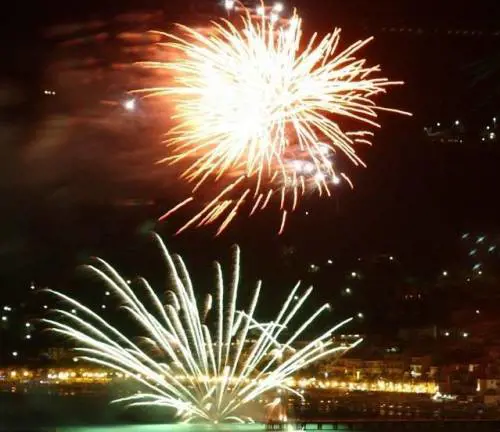 Tutti i treni speciali per vedere i fuochi