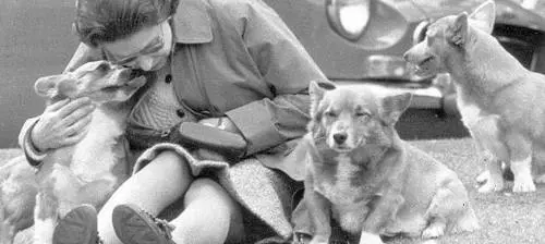 Elisabetta in lutto: è morto il cane reale