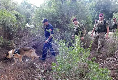 Unità cinofile cercano la Ragusa nel Pisano