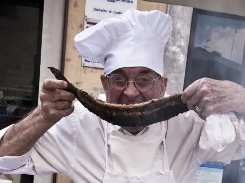 Itinerari golosi fra anguille, tartufi e vino