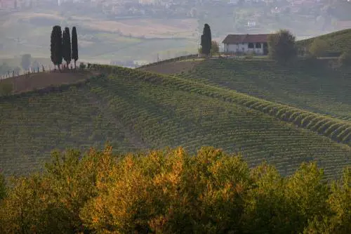 Monferrato. Rosso Barbera