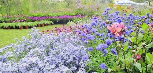 Picnic sull'erba del lago  con tutti i fiori di Orticolario