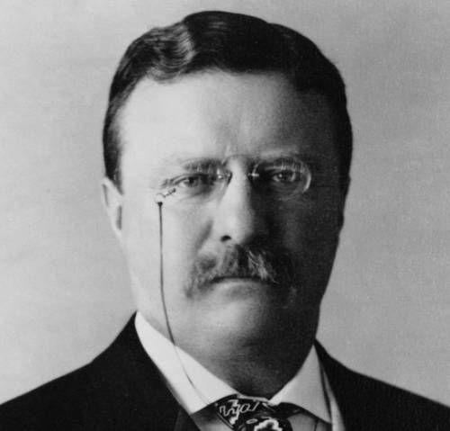 La storia dei 44 Presidenti Americani / Theodore Roosvelt