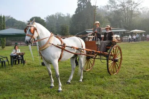 Concorso internazionale di Lissago: in campo il meglio della tradizione italiana