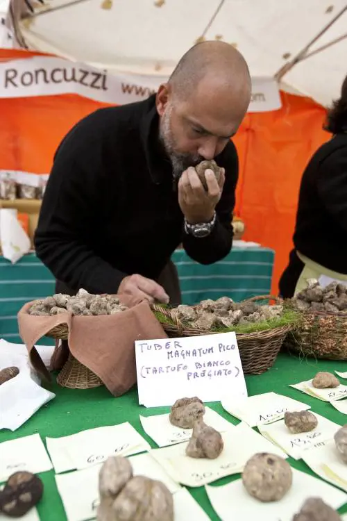 Emilia Romagna: weekend al sapore di tartufo