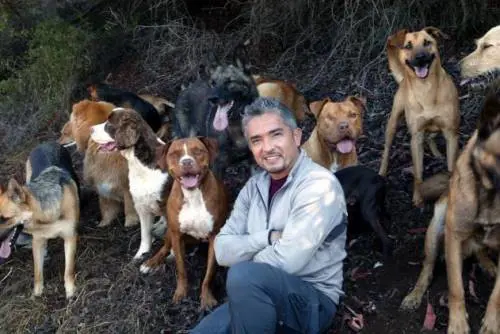 Cesar Millan