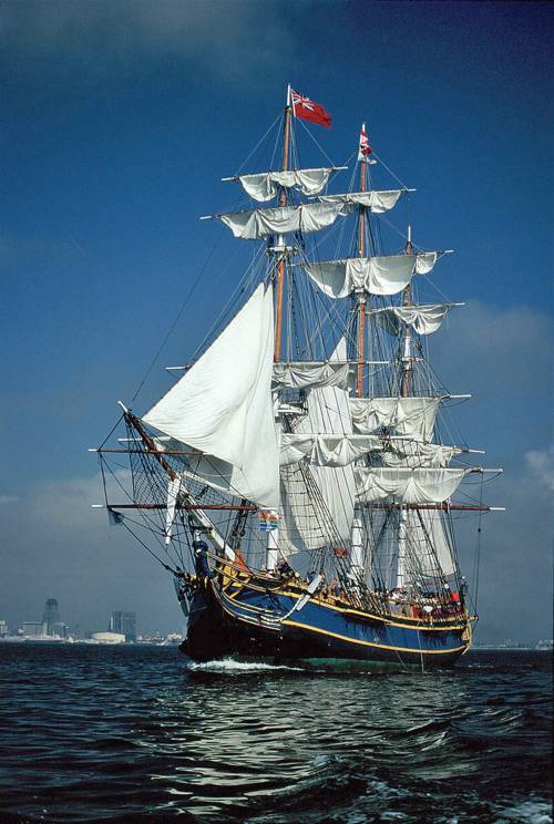 HMS Bounty, prima e dopo il naufragio