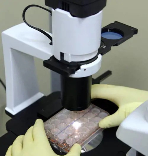 Diabete, la nuova cura ora si basa sul calore