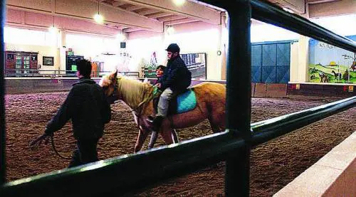 In un libro le origini e la storia della riabilitazione equestre