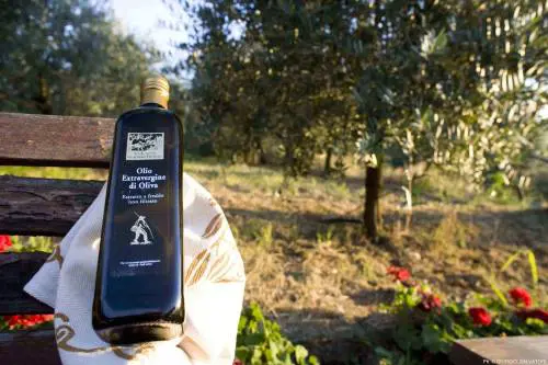 Brisighella e Coriano: la sfida dell'olio extravergine