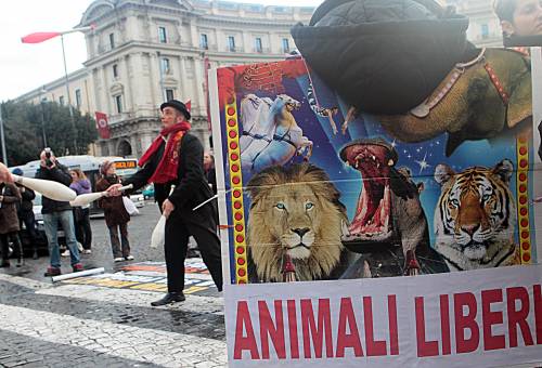 Un momento della manifestazione contro lo sfruttamento degli animali nel circo in piazza della Republica