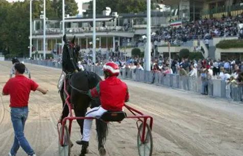 Ippodromo di Milano: uomo muore durante una corsa colpito da una macchina