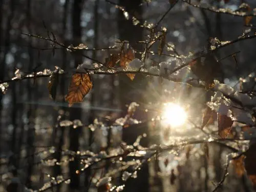 Maltempo, in Italia arriva la neve