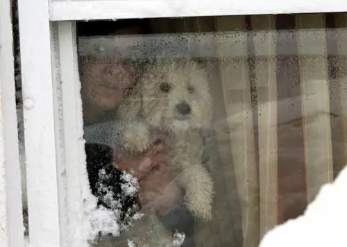 Maltempo, da giovedì neve al nord