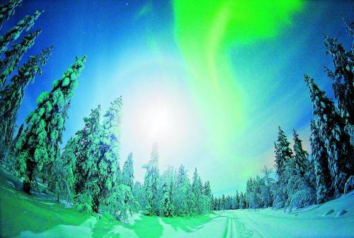 Lapponia, safari artico sulla neve Parte la caccia a Babbo Natale