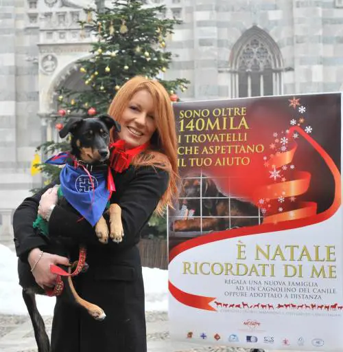 Accogliere un cucciolo sotto le feste di Natale