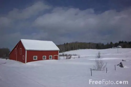 Gli Usa bloccati dalla morsa del freddo