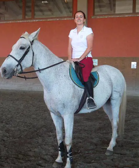 Il redditometro ci minaccia:  sotto la lente di ingrandimento animali domestici e "ovviamente "anche i nostri cavalli