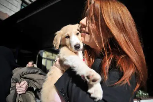 "Io voto con il cuore": ecco l'agenda politica delle associazioni animaliste