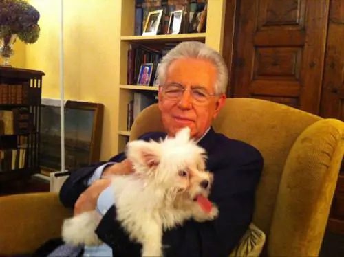 Sorpresa: Empy, il cagnolino di Monti, era soltanto a noleggio