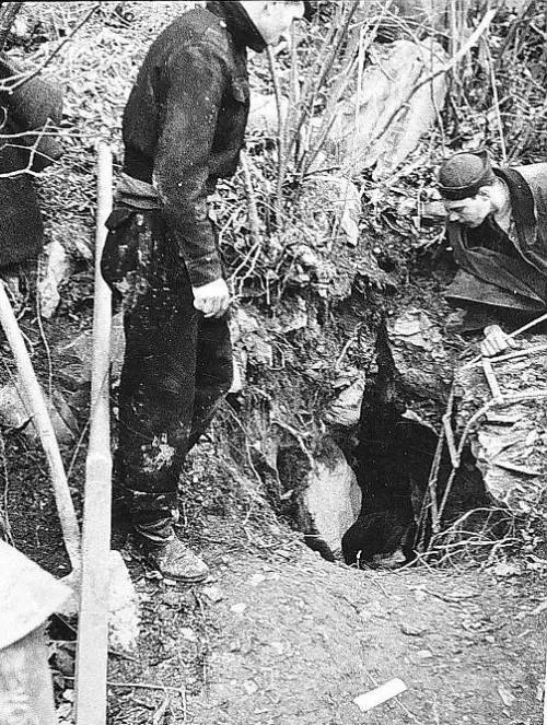 Così il Tg3 cancella il dramma delle foibe: proibito citare Tito