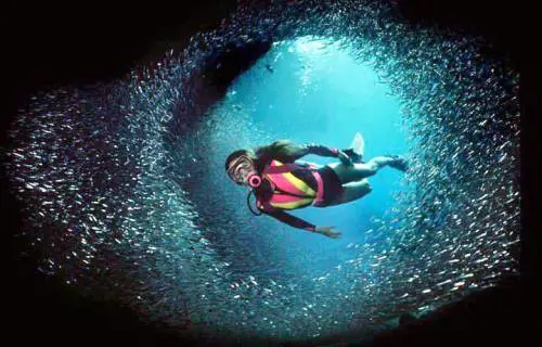 Profondo blu, il mare con gli occhi del sub all'Eudi Show
