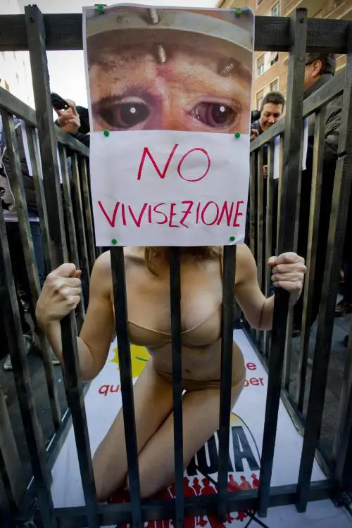 Loredana Cannata in lingerie per Ingroia