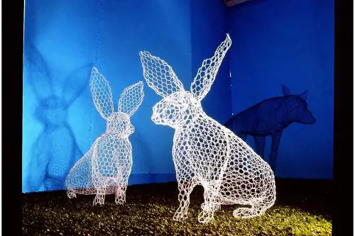 Gli animali magici di Benedetta