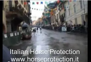 Viterbo: al via il processo contro gli organizzatori del palio di Roncaglione in cui morì la cavalla Tiffany