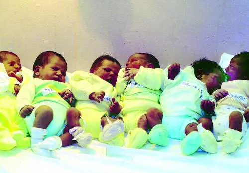 Boom di richieste ma il centro per la vita rischia di chiudere