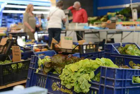 Insalate in busta, in vigore nuova legge ​a tutela consumatori