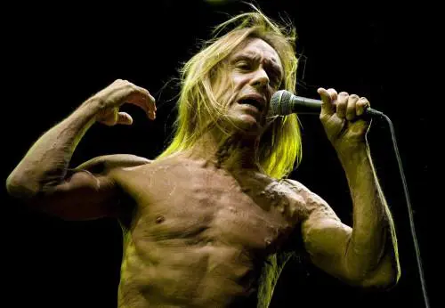 Il punk non invecchia Iggy Pop a 66 anni sfonda il muro del suono