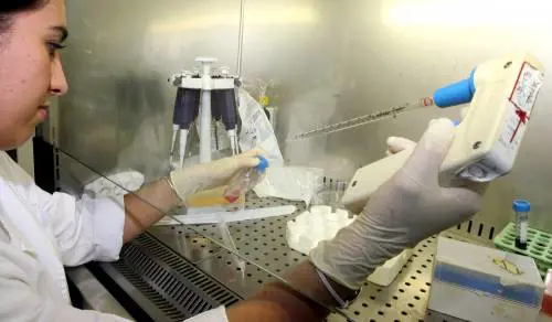 Una ricercatrice  del laboratorio di ematologia, oncologia e medicina molecolare