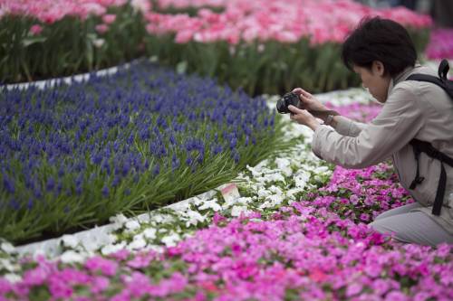 Hong Kong, il giardino tra i palazzi